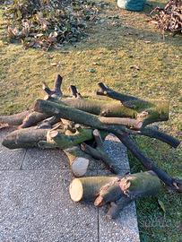  legna da ardere tagliata