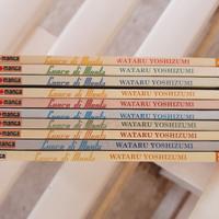 Manga giapponesi in perfetto stato