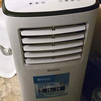 Pinguino Olimpia Splendid – Dolceclima Aria 8