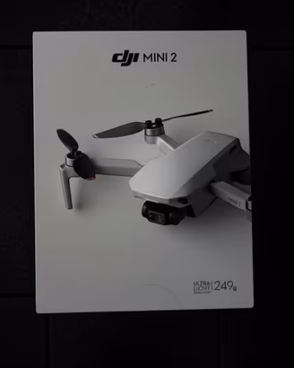 DJI MINI 2