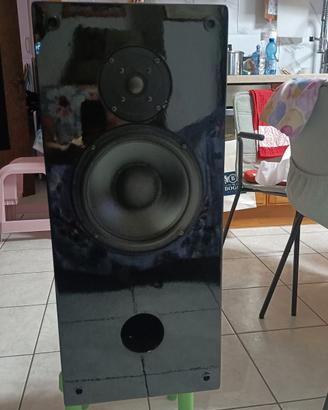 Coppia diffusori acustici Peerless 2 vie – 100W RM