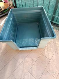cuccia per cani