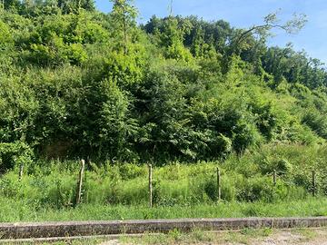 Edificabile 9,9 a m2