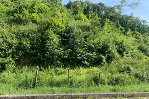 TERRENO sALERNO 10 a m2