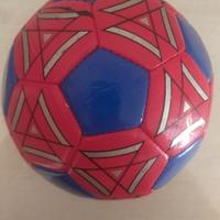 Pallone da calcio 