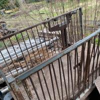 Bilancia pesa animali