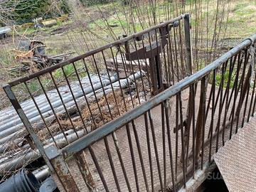 Bilancia pesa animali