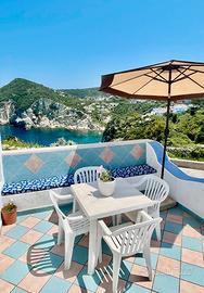 Monolocale vista mare e Ponza