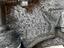 Immagine 4