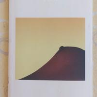 IL SENO di Philip Roth 