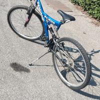 bicicletta 