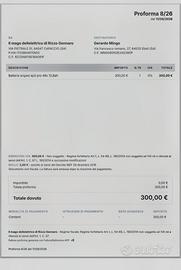 bici elettrica 