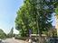 Immagine 9