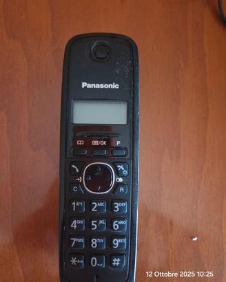 Cordless Panasonic 