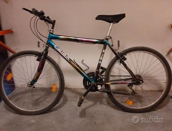 Bicicletta uomo