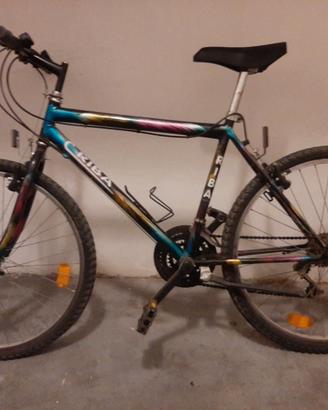 Bicicletta uomo
