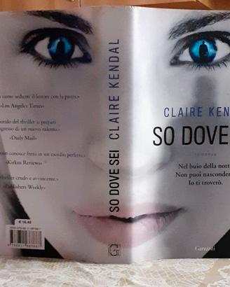 Romanzo "So dove sei" 