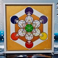 Quadro , PORTALE DI TRASFORMAZIONE