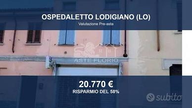 Immobile in asta di 228 m² a Ospedaletto Lodigiano
