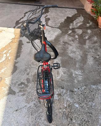Bici da passeggio