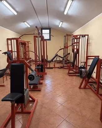 Palestra completa intera in blocco anni 90