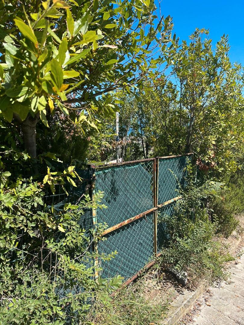 Terreno agricolo - Vista 2