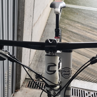 Cannondale scalpel 29