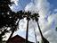Immagine 28