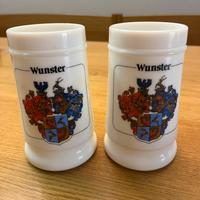 Coppia boccali birra