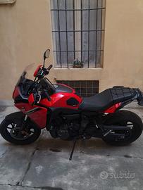 Tracer 7