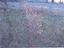 Immagine 13
