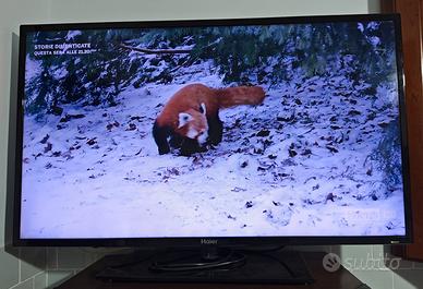 TV 39'' Haier Full HD (Model:LET39Z18HF)