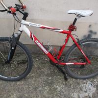 mtb accessoriata