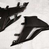 Puntale CARBONIO Lucido DUCATI Streetfighter V4/S