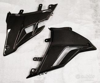 Puntale CARBONIO Lucido DUCATI Streetfighter V4/S