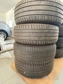 Gomme estive  R16