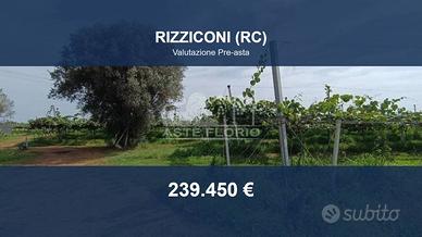 Immobile in asta di 92757 m² a Rizziconi