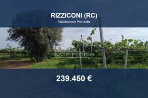 Immobile in asta di 92757 m² a Rizziconi