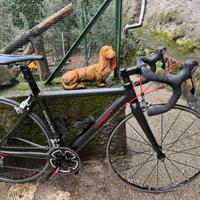 Bici corsa carbonio taglia S