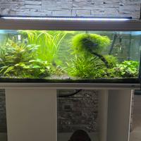 Acquario 250 litri + mobile