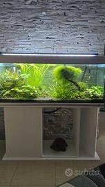 Acquario 250 litri + mobile
