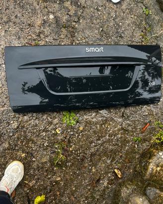 Cofano posteriore smart 451