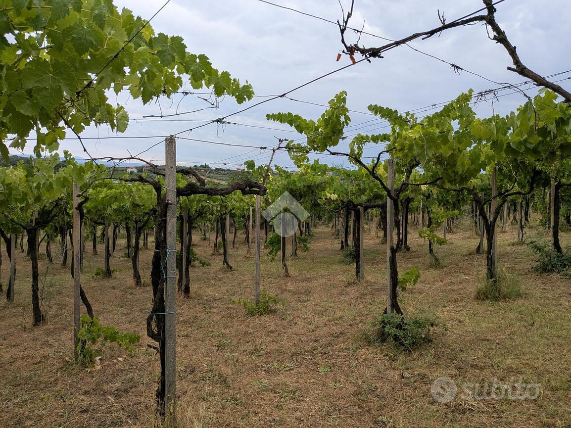 TER. AGRICOLO A FRASCATI - Vista 5
