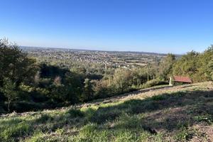 Terreno con vista panoramica immerso nei boschi