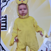 Costume carnevale Titti anni 1/2