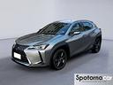 lexus-ux-hybrid-executive