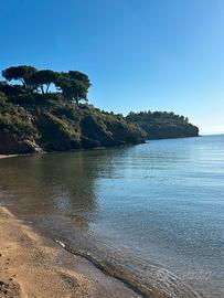 Direttamente sul mare last minute