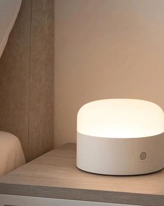 LAMPADA PORTATILE A BATTERIA RICARICABILE LED 5W