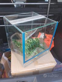 Terrario 25x25,5x28