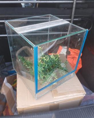 Terrario 25x25,5x28